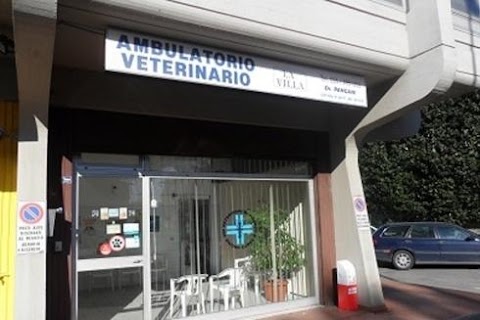 Ambulatorio Veterinario La Villa Dott. Pancani