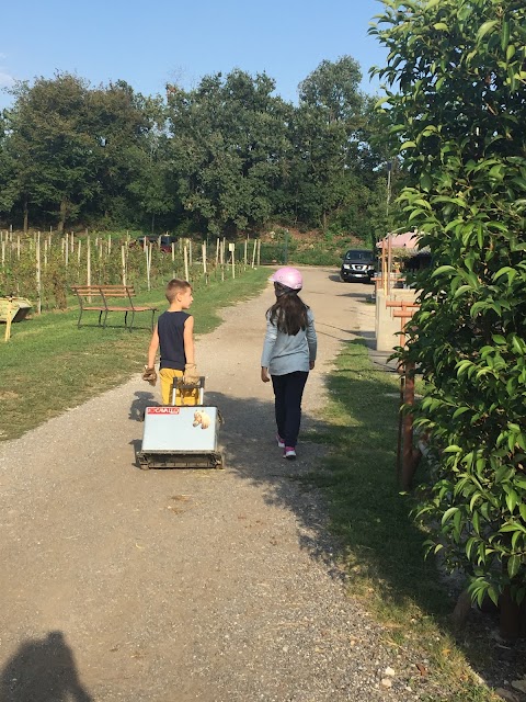 Circolo Ippico "La Collina" - Maneggio con arena al coperto - Passeggiate in carrozza