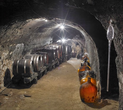 enoteca "Profumo di mosto" di MA.LO.Y.SAS