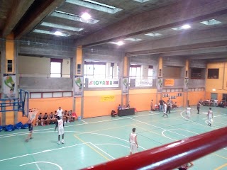 AD Victoria Pallacanestro