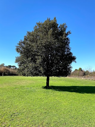 Parco Acquatico Point