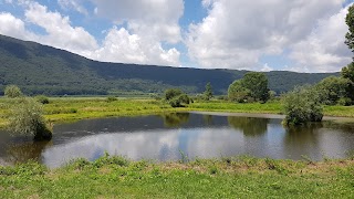 Lago Di Vico - Postazione Bird Watching