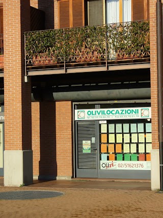 Olivilocazioni