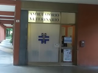 Ambulatorio Veterinario Dott Natali Elisabetta