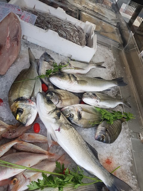 Pescatoria Nettuno