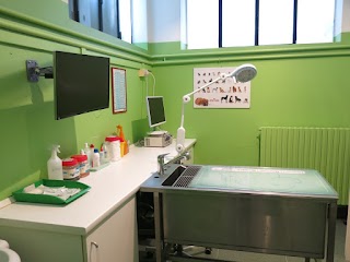 Studio Dermatologico Veterinario