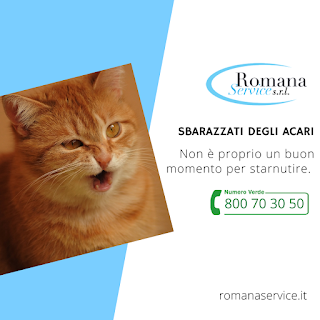 ROMANA SERVICE SRL