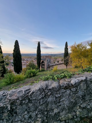 Soave (Verona)