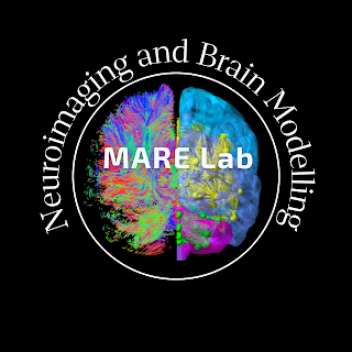 Neuroimaging and Brain Modelling Lab