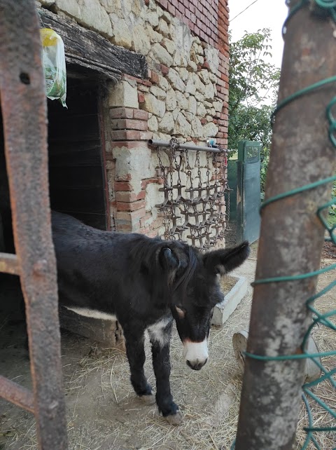 Fattoria didattica contra' mussolina