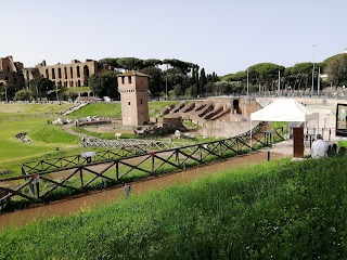 Area Archeologica del Circo Massimo