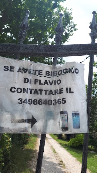 Flavio phone service