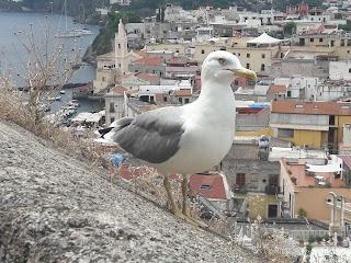 Affitto Case vacanze Lipari