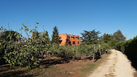 AGRITURISMO SANTA BRUNA DI CAPOROSSI CARLO