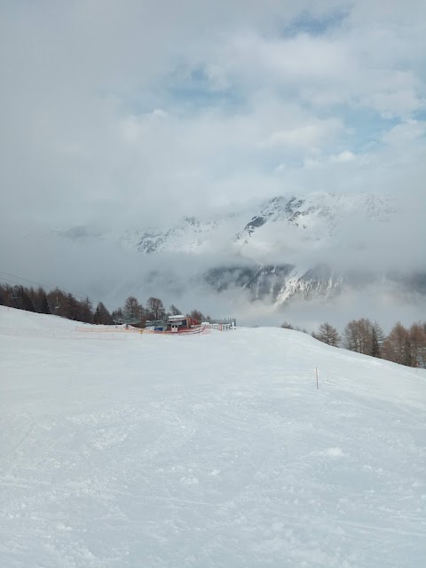 Scuola Italiana Sci & Snowboard VAL di PEJO