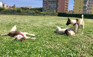 Dog School Di Ennio Ugliarolo