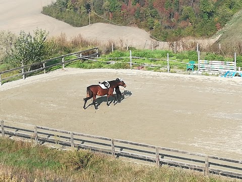 Centro Equestre La Contea