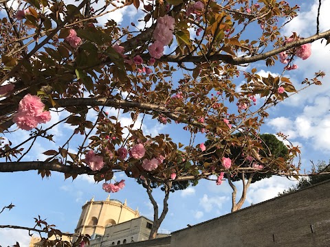 Casa di Accoglienza Paolo VI