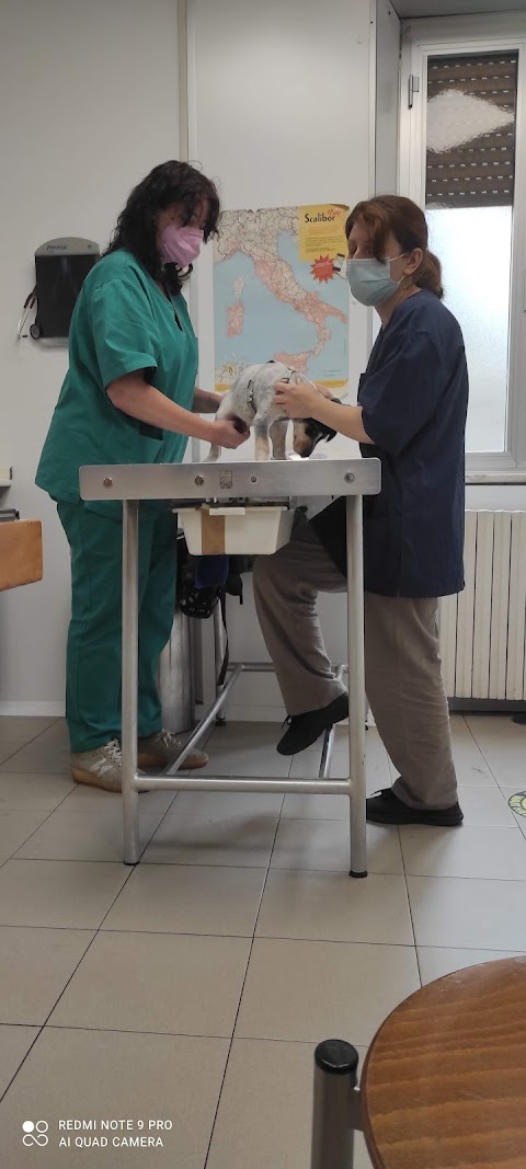 ambulatorio veterinario