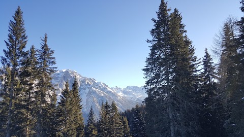 Scuola Italiana Sci e Snowboard Folgarida Dimaro - Loc. Ski Center