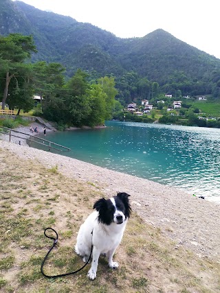 Spiaggia Per Cani