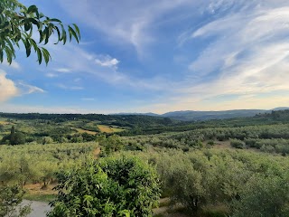 Agriturismo il Fattoio alle RIPE