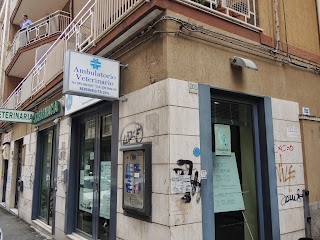 Ambulatorio Veterinario 4 Zampe