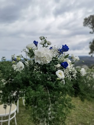 Bloomy Officina Floreale