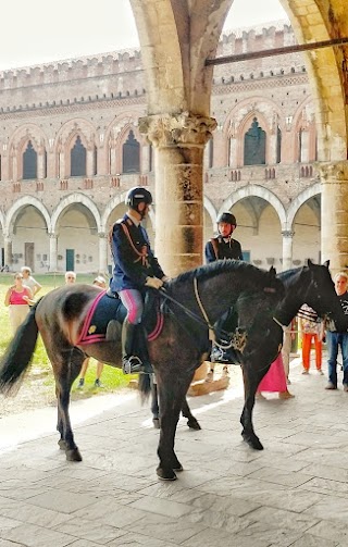 Polizia di Stato - Questura di Pavia