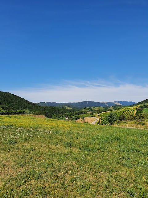 Wajdusna - Active tours and bike rentals in Vipava Valley