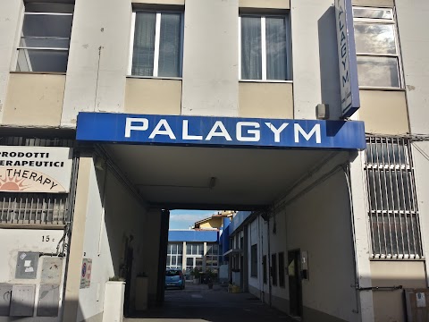 Palagym