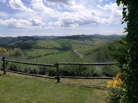 Agriturismo Il Ciuffo