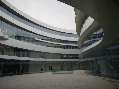 Università Bocconi