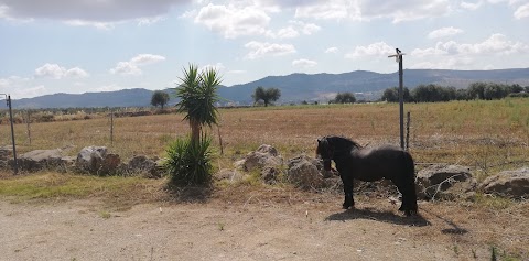 Agriturismo Valle Di Chiaramonte