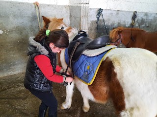 ASD Centro Ippico Pompei Horse Club