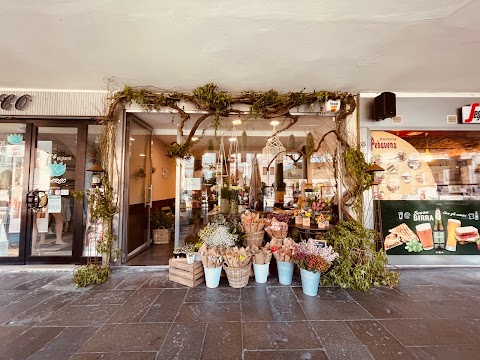 Frida's Rovigo | Italian Flower Stores