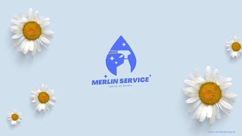 Merlin Service | Impresa di Pulizie e Servizi
