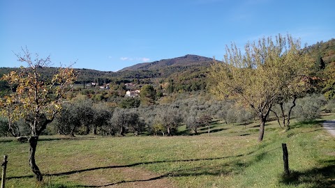 Ristorante La Pergola