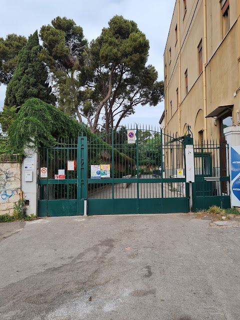 Istituto Keynes Ancelle