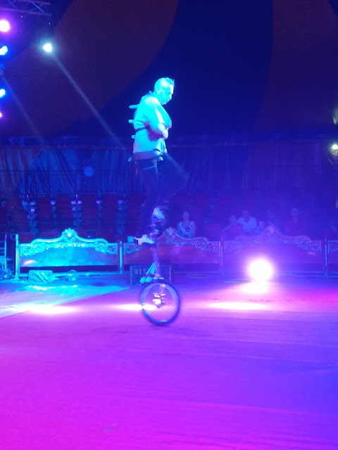 GRAVITY CIRCUS