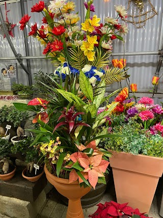 Fioraio a Melzo Il Giardino Fiorito Di Migliorini Luigi E Fernanda