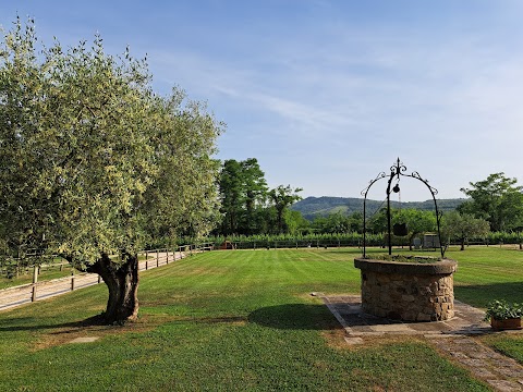 Agriturismo Franciscus di Bressanin Fiammetta