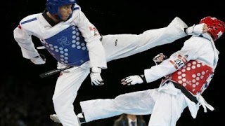 Taekwondo Torinese Zagato team Centro Sportivo Lingotto