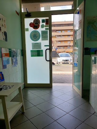 Ambulatorio Veterinario Ponte di Nona