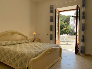 Simonelli Apartments - Case Vacanze a Ischia