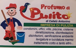 Profumo di Pulito Impresa di Pulizie