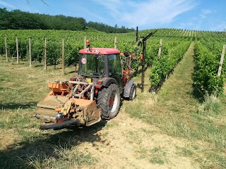 Azienda Agricola Bertoli Merelli Giovanni