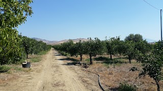 Azienda Agricola Tinnirino Ardizzone