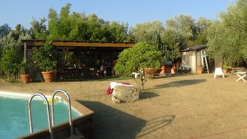 B&B Podere Valdibotte