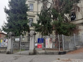 Scuola Elementare “Gozzi”